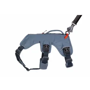 Harnais pour chien Ruffwear Web Master image-4