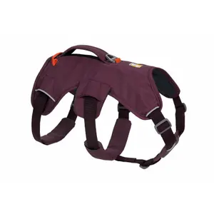 Harnais pour chien Ruffwear Web Master image-1