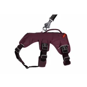 Harnais pour chien Ruffwear Web Master image-3