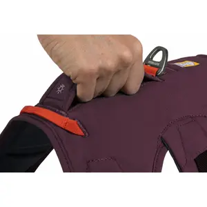 Harnais pour chien Ruffwear Web Master image-4