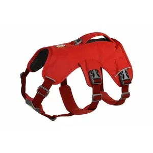 Harnais pour chien Ruffwear Web Master image-0