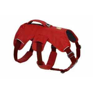 Harnais pour chien Ruffwear Web Master image-1