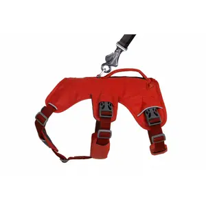 Harnais pour chien Ruffwear Web Master image-3
