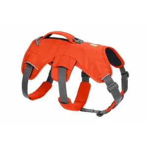 Harnais pour chien Ruffwear Web Master image-1