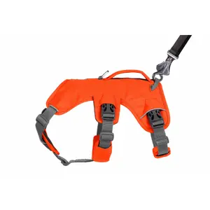 Harnais pour chien Ruffwear Web Master image-3