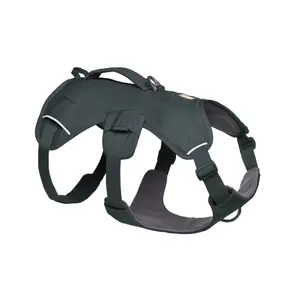 30104-042ll1-hundsele-ruffwear-web-mastertm-gra-basalt