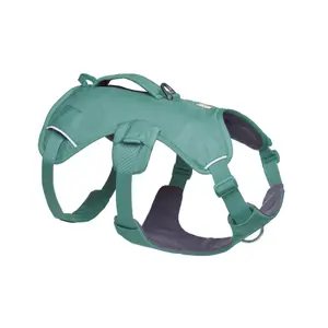 30104-355ll1-hundsele-ruffwear-web-mastertm-flodsten-gron