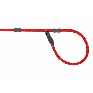 Hundeleine Ruffwear Just-a-Cinch image-1