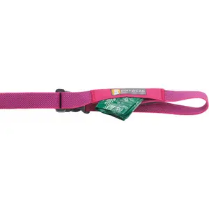 Laisse pour chien Ruffwear Flagline image-3