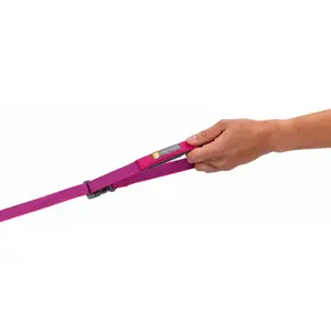 Laisse pour chien Ruffwear Flagline image-4