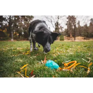 Hundespielzeug Ruffwear Huck-a-Cone™ image-2