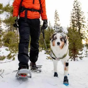 Winter dog shoes Ruffwear Polar Trex image-1