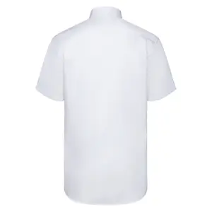 Ing image-1