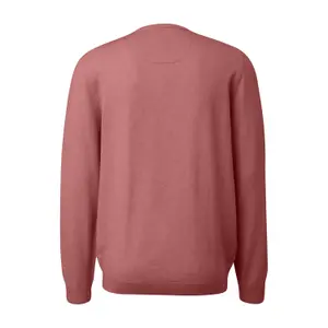 Cotton Sweatshirt with Embroidered Logo s.Oliver image-1