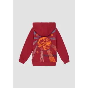 Children's Hooded Sweatshirt with Large Back Print and Brushed Interior s.Oliver image-3