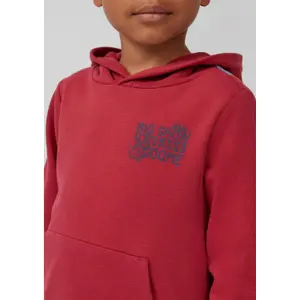 Children's Hooded Sweatshirt with Large Back Print and Brushed Interior s.Oliver image-5