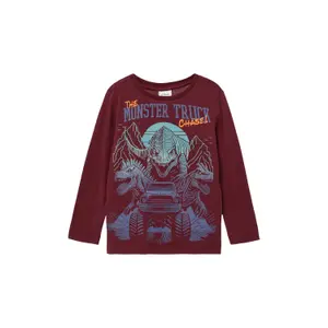 T-shirt maniche lunghe con grande stampa di dinosauro e dettagli ricamati bambino s.Oliver image-2