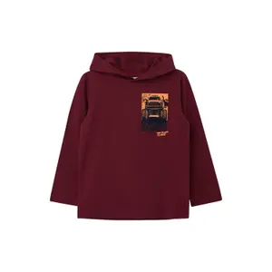 Child's Hooded Long Sleeve T-Shirt with Printed Felt Detail s.Oliver image-0