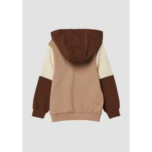Colorblock Capuchon Sweatshirt, Geborstelde Binnenkant Kind s.Oliver image-3