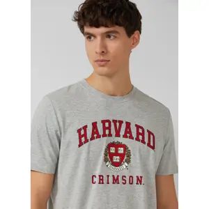 T-shirt από βαμβακερό jersey με εκτύπωση μπροστά καλλιτεχνικό σχέδιο s.Oliver image-3