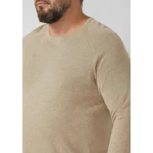 Cotton Sweatshirt with Logo and Raglan Sleeves s.Oliver image-3