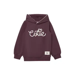 Capuchon Sweatshirt met Aplicatie Meisje s.Oliver image-0