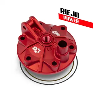 Motorcycle cylinder head S3 Gas Gas EC 250 ENDURO GP