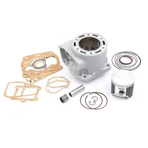 Complete Motorcycle Cylinder Kit S3 Gas Gas ENDUCROSS 300