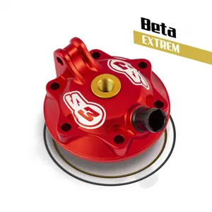 Motorcycle cylinder head S3 Extreme RR 300 2T