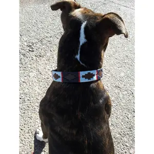 Hundehalsband Sabbia Bianca Orio image-1