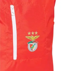 Sac   dos Benfica Lisbonne image-4
