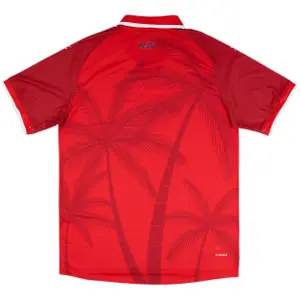 Maglia Third Authentica Haïti Coupe du Monde 2026 image-1