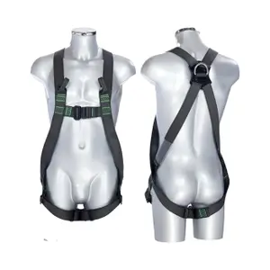 Complete Dynamic Harness Safety Jogger image-0