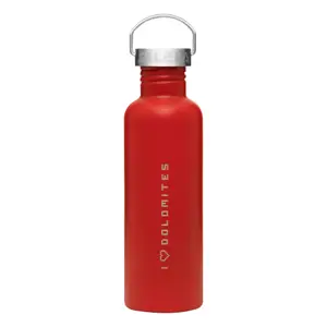 Bottle Salewa Aurino 1.0 L image-1