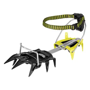 Mountaineering crampons Salewa Pro