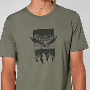 T-shirt Salewa Eagle 3cime image-1