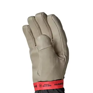 Gants Salewa Ortles Gtx image-1