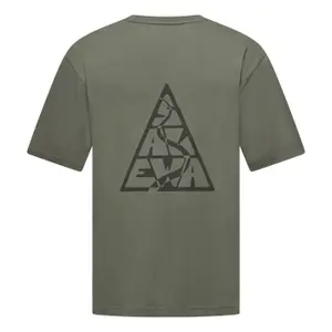 Loose T-shirt Salewa Eagle image-2