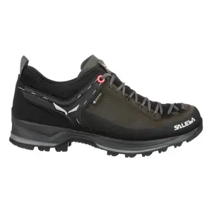 Women's hiking shoes Salewa Mtn Trainer 2 Gtx image-0