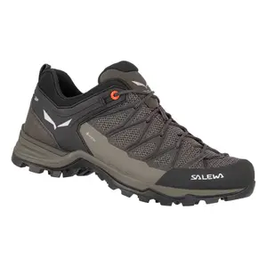 Hiking shoes Salewa MS MTN Trainer Lite GTX image-0