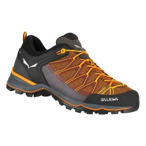 Hiking shoes Salewa MS MTN Trainer Lite image-0