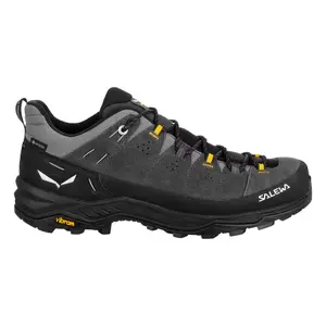Hiking shoes Salewa ALP Trainer 2 GTX image-0