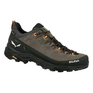 Hiking shoes Salewa ALP Trainer 2 GTX image-1