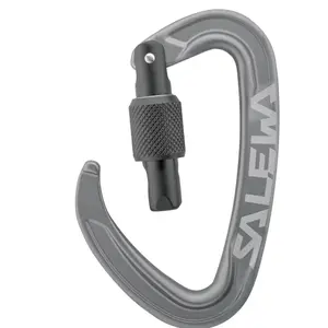 Carabiner Salewa Ortles Screw image-1