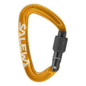 Carabiner Salewa Ortles Screw image-0