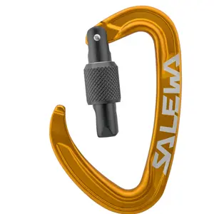 Carabiner Salewa Ortles Screw image-1