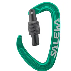 Carabiner Salewa Ortles Screw image-1