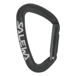Carabiner Salewa Ortles Straight image-0