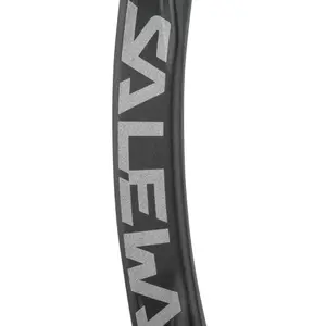 Carabiner Salewa Ortles Straight image-3