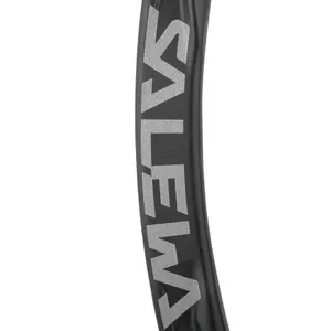 Mousqueton coudé Salewa Ortles image-3